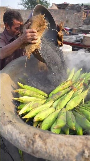 Cooking Corn on the Cob in Corn Coal Ash | Traditional Method 🌽🔥