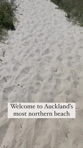 Discover Te Arai Beach in Auckland