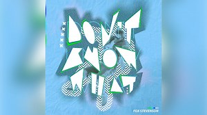 Fox Stevenson - Don't Know What (Official Audio) Video