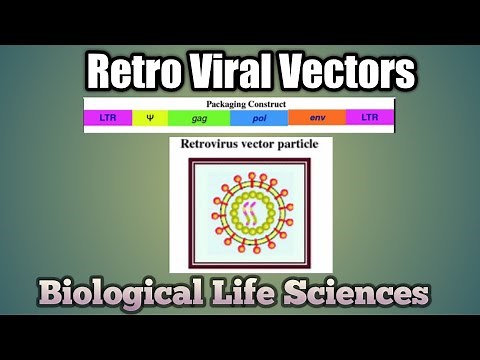 Cloning using Retroviral Vectors