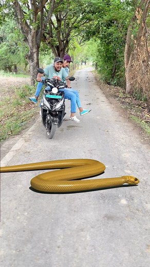 2.4M views · 10K reactions | Naag Nagin Ne Pichla Badla Liya  Ep .1 . . . #insta #instagram #instareels #shorts #reels #trending #naag #naagin6 #saap #fb #facebook | Saurabh Patel | Facebook