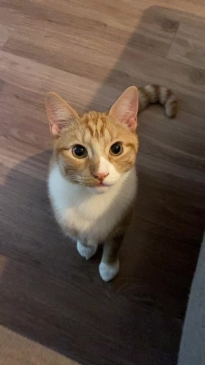 his lil feet at the end