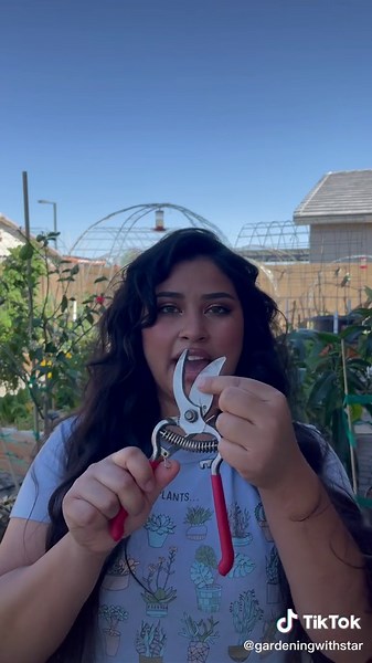 Reply to @sarahguerereart here’s how I sharpen my pruners