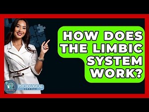 How Does The Limbic System Work? - Psychological Clarity