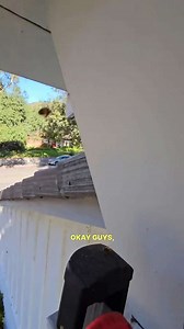 Rescuing a Massive Beehive From Under the Roof Eaves