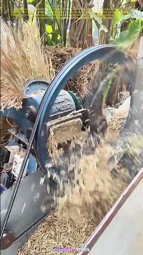 Le moulin rotatif à la rescousse : Comment transformer la paille en ressource précieuse