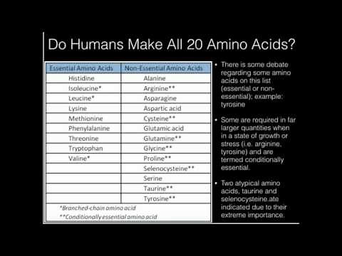 Overview of Amino Acid Biosynthesis