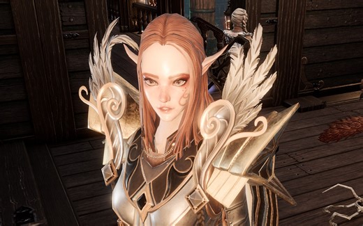 神界原罪2Mod推荐