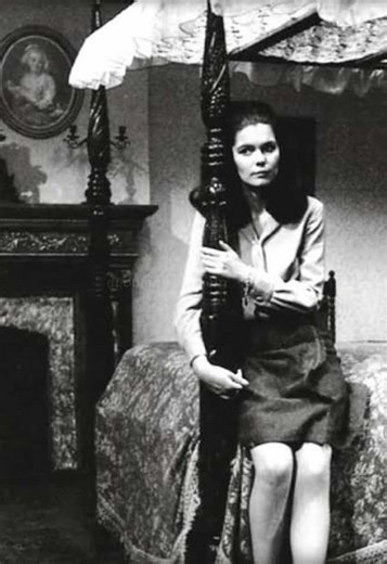 Exploring the Dark Shadows of Horror TV