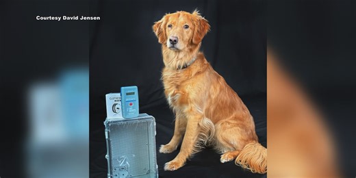 907chip project aims to install Microchip scanning stations around Anchorage to connect lost pets with owners