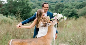 Wild deer crashes a couple’s wedding photoshoot, eats the bride’s bouquet