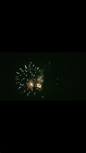 5秒間だけ撮った花火 #おすすめにのりたい #おすすめ #運営さん大好き #花火