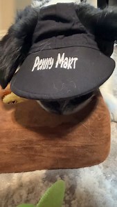 Take this broccoli and get out of my store. I don’t have time to deal with you today. #sassydog #corgipoo #cute #dogtoy #playtime #dogsofinstagram | Penny Corgipoo