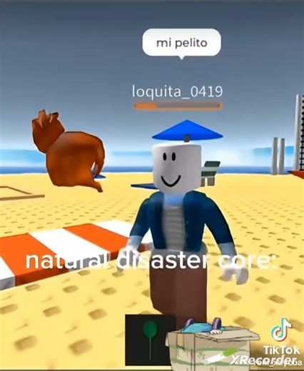 natural disaster core: