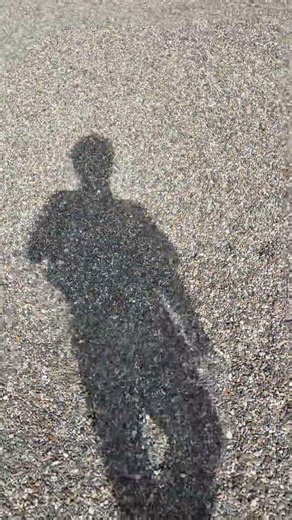 Shadow Play #52 / Walking in a Japanese Shrine #shorts