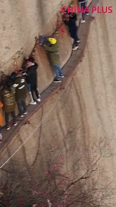 394K views · 1.3K reactions | Mount Hua or Hua Shan is famous for its cliffside plank walk. It is considered to be one of the most dangerous hiking trails in the world. | China Plus Culture | Facebook