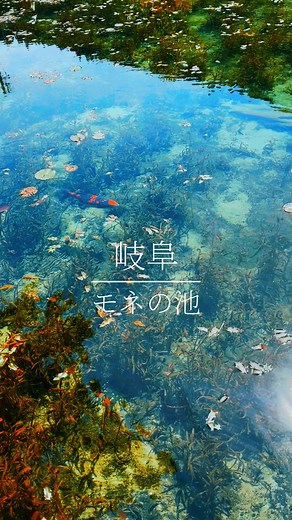 モネの池の神秘的な景色と美しい秋
