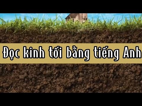 Đọc kinh bằng tiếng Anh - Kinh sáng soi, Kinh Chúa Thánh Thần, Kinh ăn năn tội, Kinh Lạy Nữ Vương