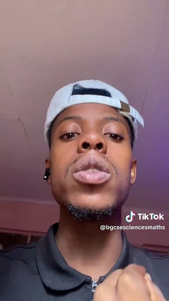 Understanding the Respiratory System: A Beginner's Guide