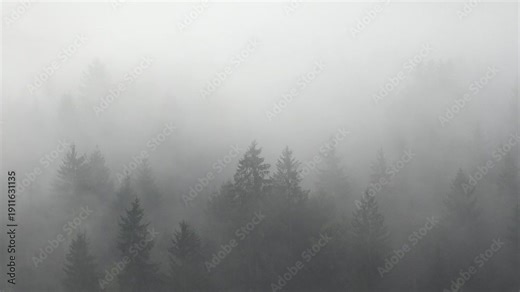 Fog in Mountains, Raining in Forest, Smoke, Mystical View, Foggy in Alpines, Mysterious Scary Scenery, Clouds in Wood, Timelapse