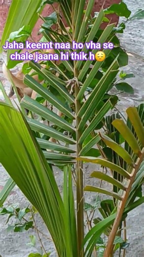 slient is most powerful 🙌.