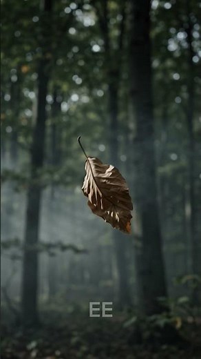 The Most Satisfying Falling Leaf Ever 🍂 | Cinematic ASMR