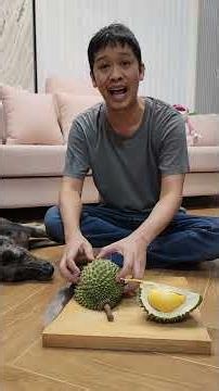 ทุเรียนโอวฉีแชมป์ปีนัง หนามดำ รู้จักทุเรียนมากกว่า 200 สายพันธุ์กับเอิร์ธสดชื่น