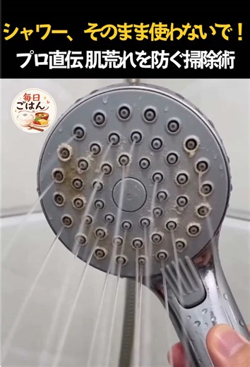 シャワーの水、変な出方してない？😱 そのまま使うと肌トラブルの原因になるかも…。歴20年のプロが教える「シャワーヘッド復活術」が凄すぎた #シャワーヘッド #お風呂掃除 #掃除の裏ワザ #暮らしの知恵 #暮らし