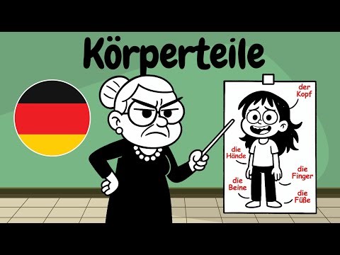 Mein Körper – Learn All German Body Parts with Examples (A1–A2 Vocabulary)