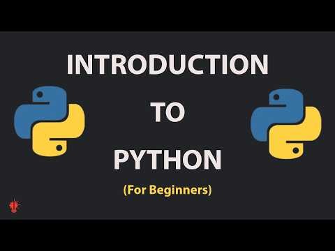 Python 101: The Complete Beginner’s Guide (Install + First Code)