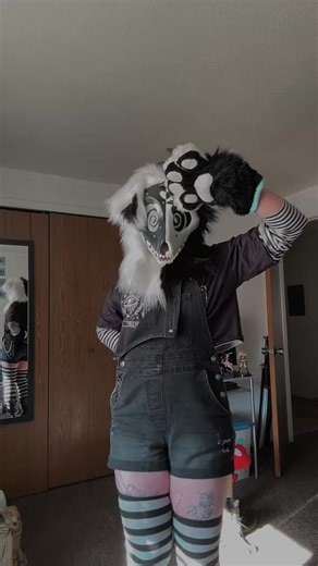 Exploring the Furry Fandom Community