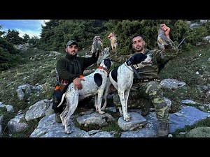 Κυνήγι περδικας Καλαμάτα
