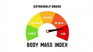 Bmi Scale Animation Body Mass Index Stock Footage Video (100% Royalty-free) 3863131237 | Shutterstock