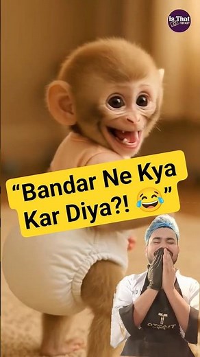 “Baby Monkey Farts Then Starts Laughing 😂 | Funniest Animal Moment!”