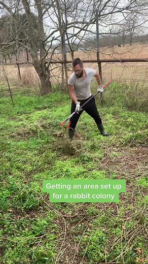 DIY Rabbit Colony for Homesteading | Weekend Vibes