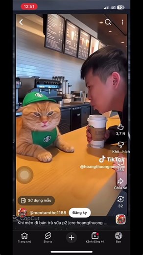 Mèo bán trà sữa