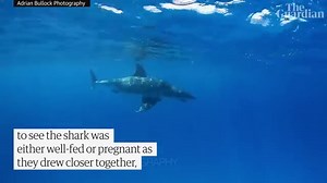 Unsustainable fishing worsens threats to Great Barrier Reef