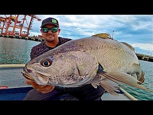 PORT OF BRISBANE | Deep Vibes.