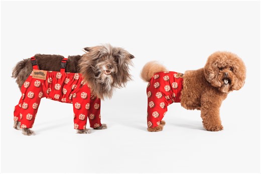 Bagel Bites Aims to Settle Dog Pants Debate