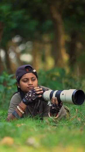 44K views · 34K reactions | The Banded Krait (Bungarus fasciatus) is...