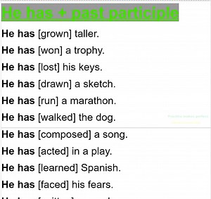 18K views · 582 reactions | He has + past participle | Empowering English Learning | Facebook