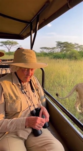 This is amazing! #animalkingdom #wildlife #safari | King of the Jungle