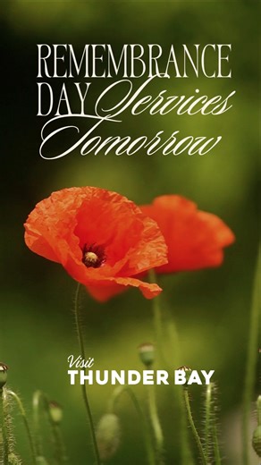 This week, we take time to remember those who fought for freedom around the world as Remembrance Day ceremonies take place across the city tomorrow. If you’re looking for ways to pay your respects, there are several opportunities to do so: North side: Join local residents at the Waverley Park Cenotaph, where wreaths will be laid in honour of our fallen soldiers. South side: The Royal Canadian Slovak Legion Branch 129 will host a ceremony at their hall to commemorate the day. You can also attend 