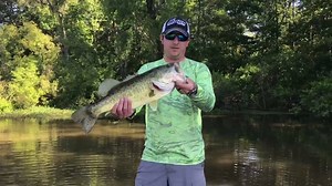 Punching the Bayou Bug on Toledo Bend Lake can result in big catches like this! This beauty fell to the "Pie-Yow" color! www.cajunlures.com | Cajun Lures