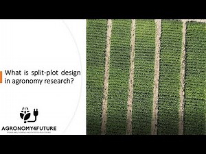 What is split-plot design in agronomy research?