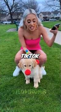 She Clowned Her Dog for TikTok… I Took That Personally 😡