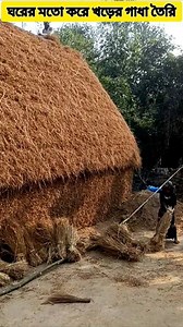 278K views · 2.2K reactions | ঘরের মতো খড়ের গাদা তৈরি #Haystacklifting #Haystackmaking #Haystacking #viral #reels | Pigeon Treatment - Rubel Agro | Facebook