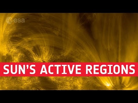 The Sun’s active regions: coronal rain and solar moss