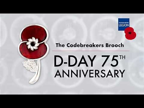 The Codebreakers Brooch - Buy now from The Poppy Shop