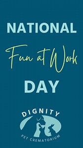 1.1K views |  Happy National Fun at Work Day!  At Dignity, we take...